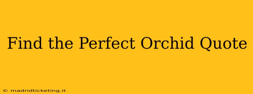 Find the Perfect Orchid Quote