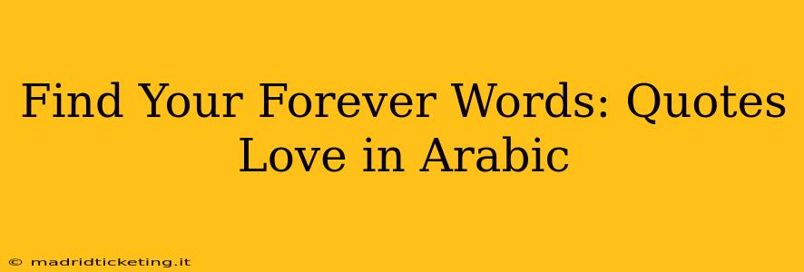 Find Your Forever Words: Quotes Love in Arabic