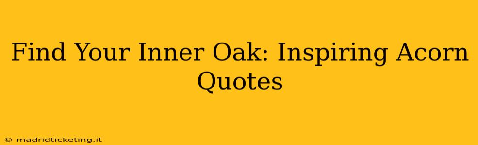 Find Your Inner Oak: Inspiring Acorn Quotes