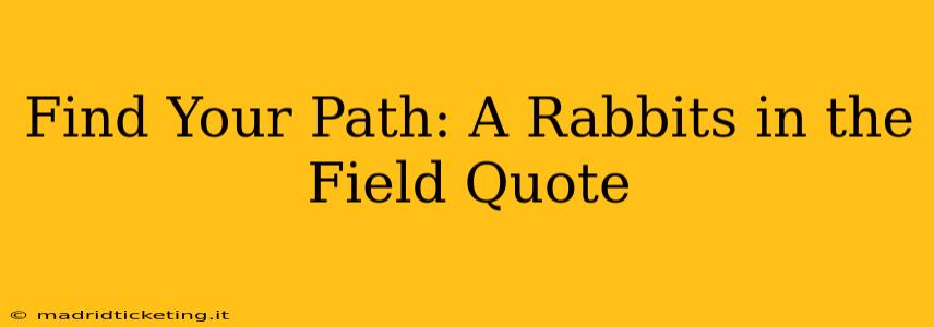 Find Your Path: A Rabbits in the Field Quote
