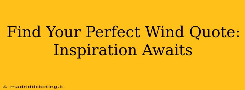 Find Your Perfect Wind Quote: Inspiration Awaits