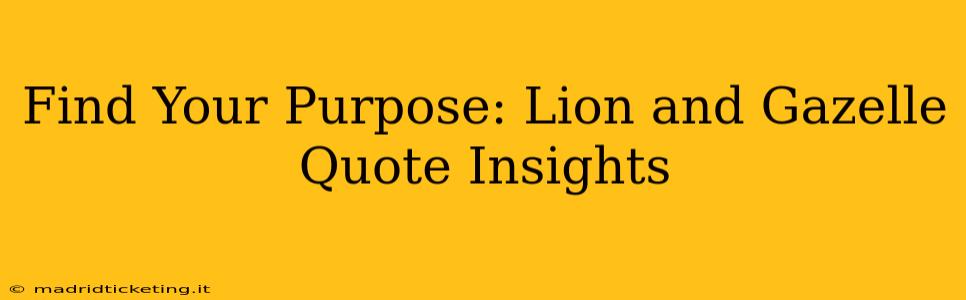 Find Your Purpose: Lion and Gazelle Quote Insights