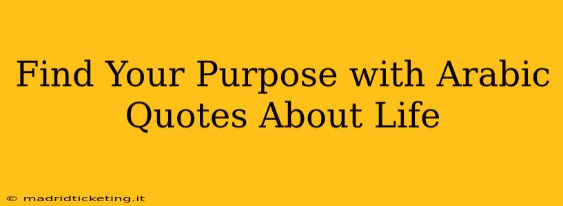 Find Your Purpose with Arabic Quotes About Life