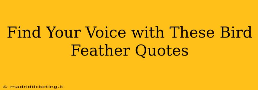 Find Your Voice with These Bird Feather Quotes
