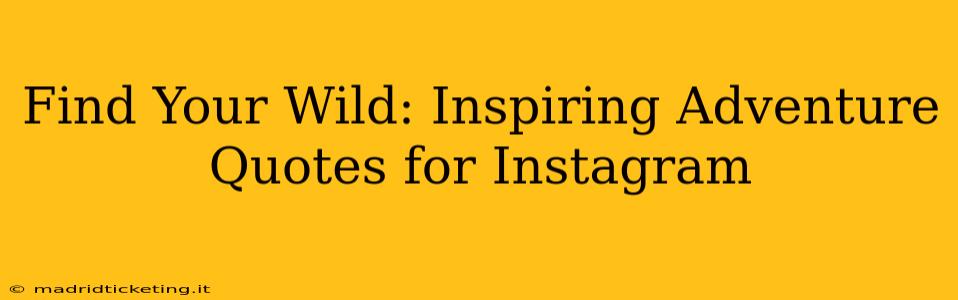 Find Your Wild: Inspiring Adventure Quotes for Instagram