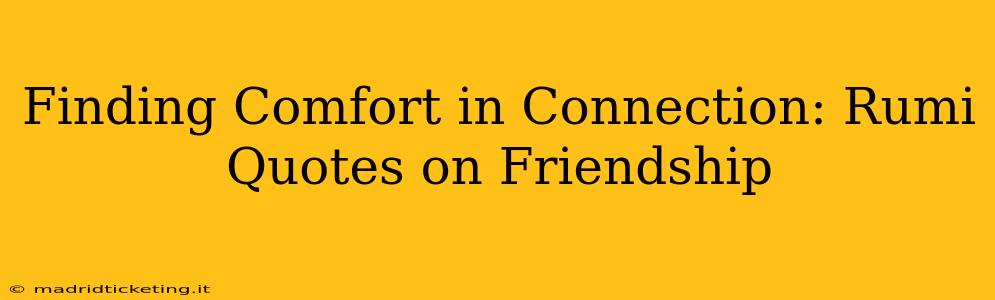 Finding Comfort in Connection: Rumi Quotes on Friendship