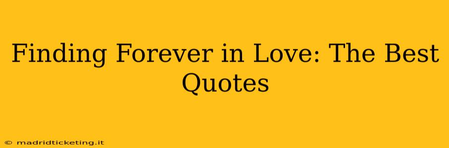Finding Forever in Love: The Best Quotes