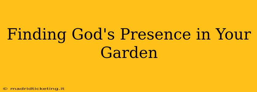 Finding God's Presence in Your Garden