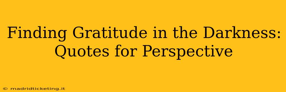 Finding Gratitude in the Darkness: Quotes for Perspective