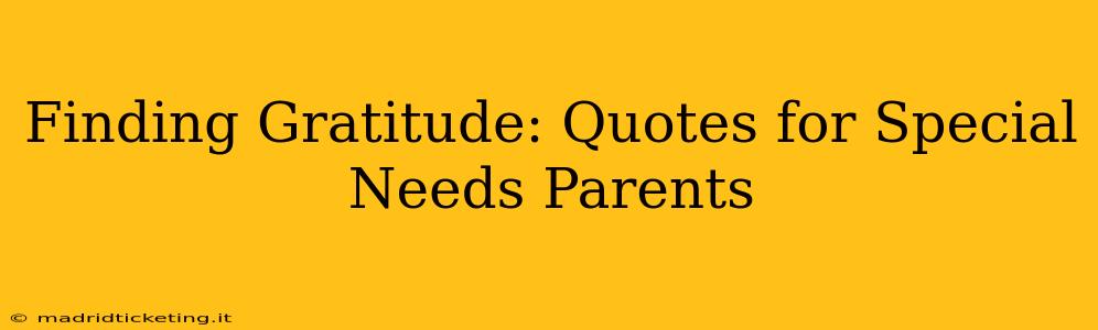 Finding Gratitude: Quotes for Special Needs Parents