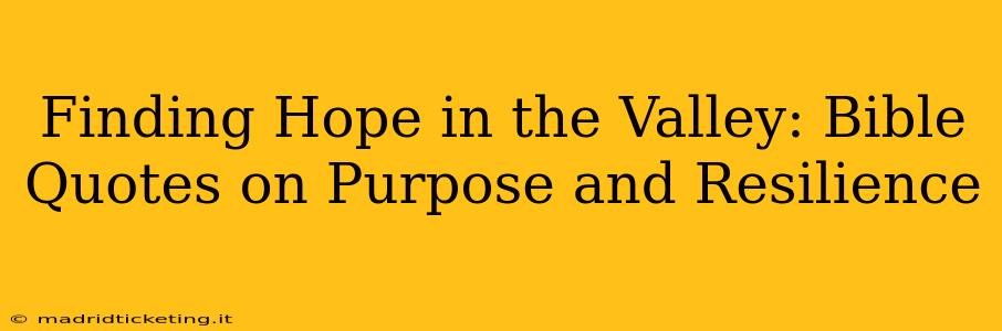 Finding Hope in the Valley: Bible Quotes on Purpose and Resilience