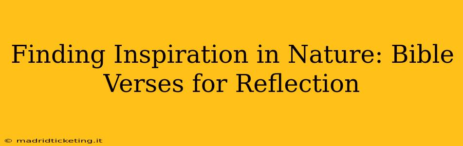 Finding Inspiration in Nature: Bible Verses for Reflection