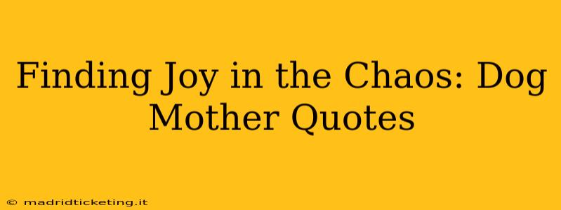 Finding Joy in the Chaos: Dog Mother Quotes