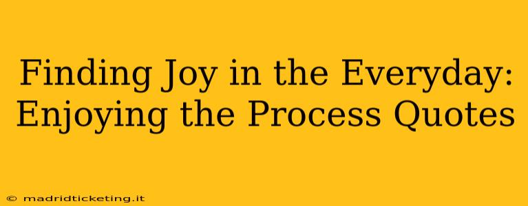 Finding Joy in the Everyday: Enjoying the Process Quotes