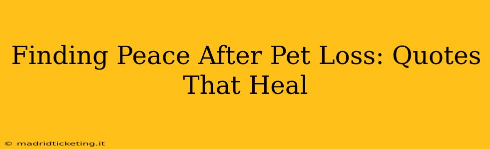 Finding Peace After Pet Loss: Quotes That Heal