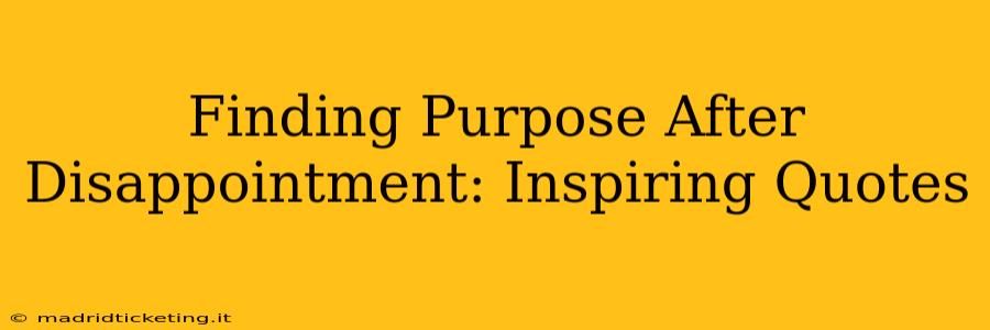 Finding Purpose After Disappointment: Inspiring Quotes