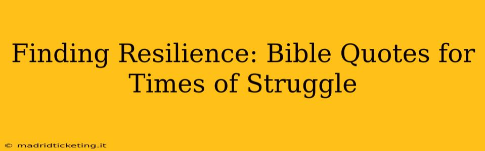 Finding Resilience: Bible Quotes for Times of Struggle