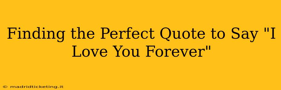 Finding the Perfect Quote to Say "I Love You Forever"