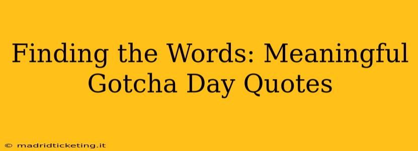 Finding the Words: Meaningful Gotcha Day Quotes