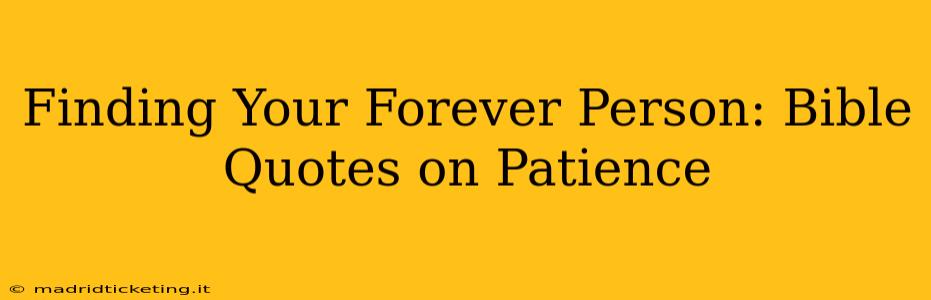 Finding Your Forever Person: Bible Quotes on Patience