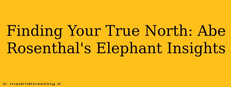 Finding Your True North: Abe Rosenthal's Elephant Insights