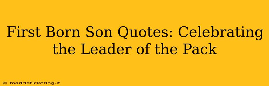 First Born Son Quotes: Celebrating the Leader of the Pack