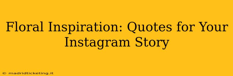 Floral Inspiration: Quotes for Your Instagram Story