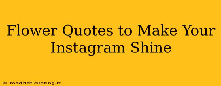 Flower Quotes to Make Your Instagram Shine