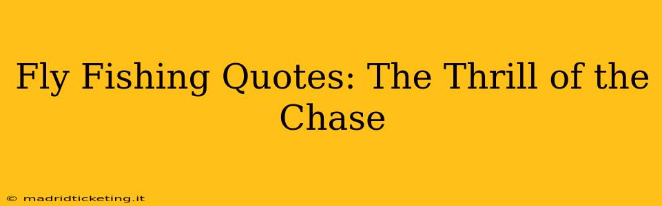 Fly Fishing Quotes: The Thrill of the Chase