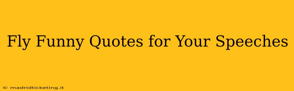 Fly Funny Quotes for Your Speeches