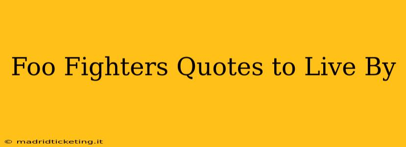 Foo Fighters Quotes to Live By