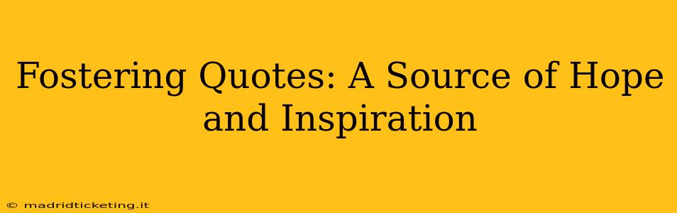 Fostering Quotes: A Source of Hope and Inspiration