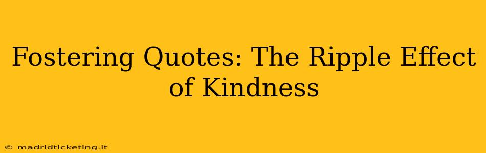 Fostering Quotes: The Ripple Effect of Kindness
