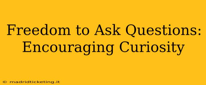 Freedom to Ask Questions: Encouraging Curiosity