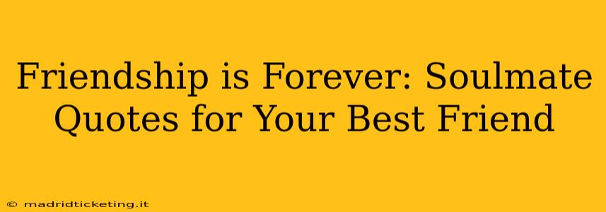 Friendship is Forever: Soulmate Quotes for Your Best Friend