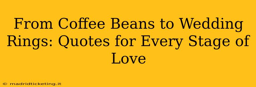 From Coffee Beans to Wedding Rings: Quotes for Every Stage of Love