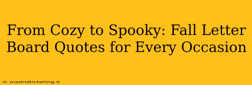 From Cozy to Spooky: Fall Letter Board Quotes for Every Occasion