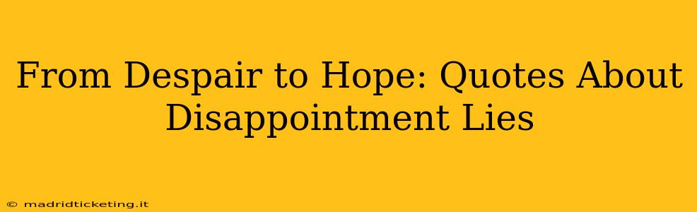 From Despair to Hope: Quotes About Disappointment Lies