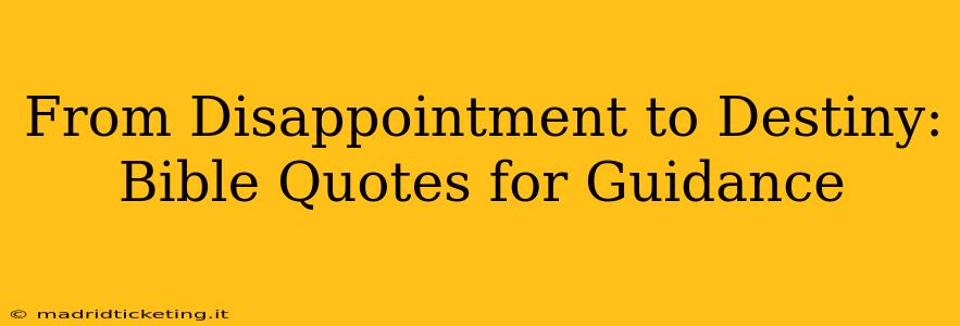 From Disappointment to Destiny: Bible Quotes for Guidance
