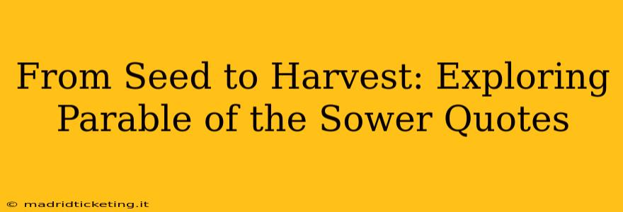 From Seed to Harvest: Exploring Parable of the Sower Quotes
