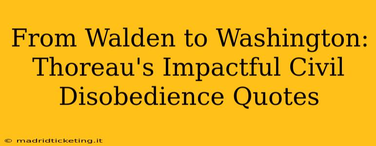 From Walden to Washington: Thoreau's Impactful Civil Disobedience Quotes