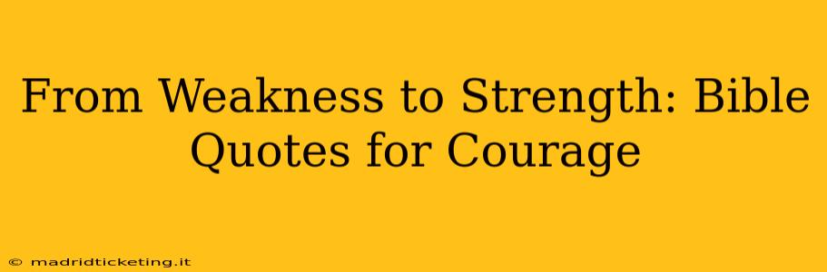 From Weakness to Strength: Bible Quotes for Courage
