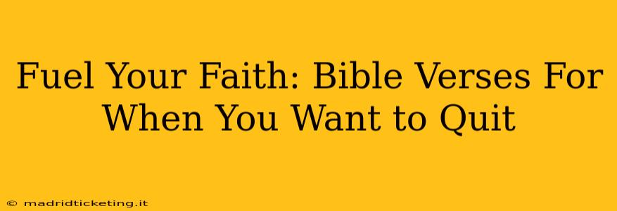 Fuel Your Faith: Bible Verses For When You Want to Quit