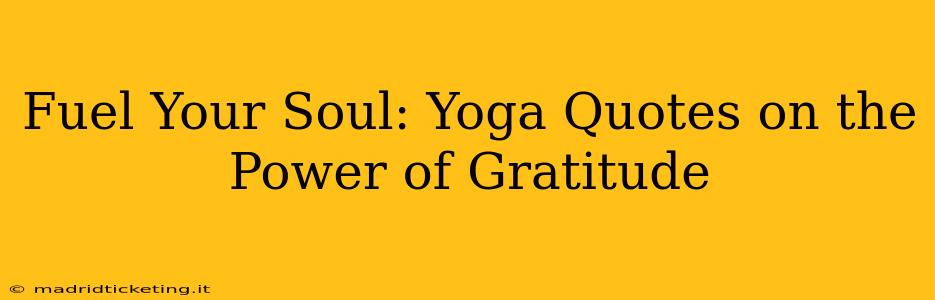 Fuel Your Soul: Yoga Quotes on the Power of Gratitude