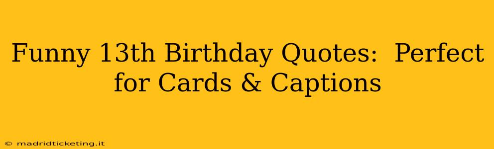 Funny 13th Birthday Quotes:  Perfect for Cards & Captions
