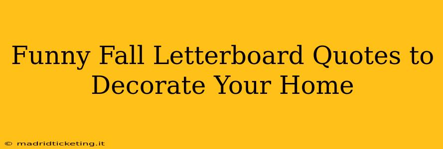 Funny Fall Letterboard Quotes to Decorate Your Home