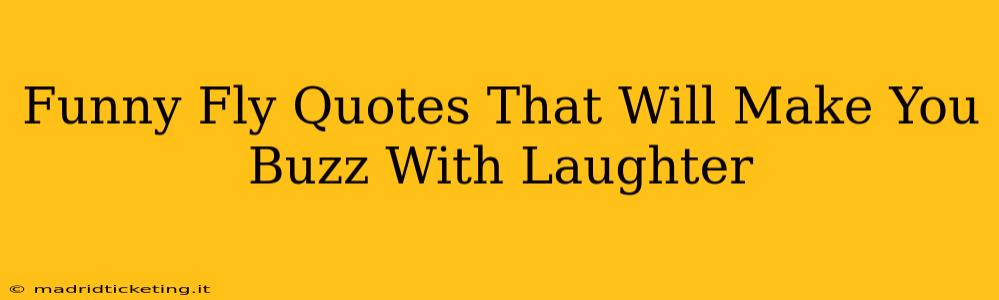 Funny Fly Quotes That Will Make You Buzz With Laughter