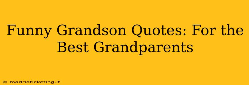 Funny Grandson Quotes: For the Best Grandparents