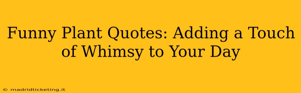 Funny Plant Quotes: Adding a Touch of Whimsy to Your Day