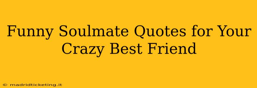 Funny Soulmate Quotes for Your Crazy Best Friend